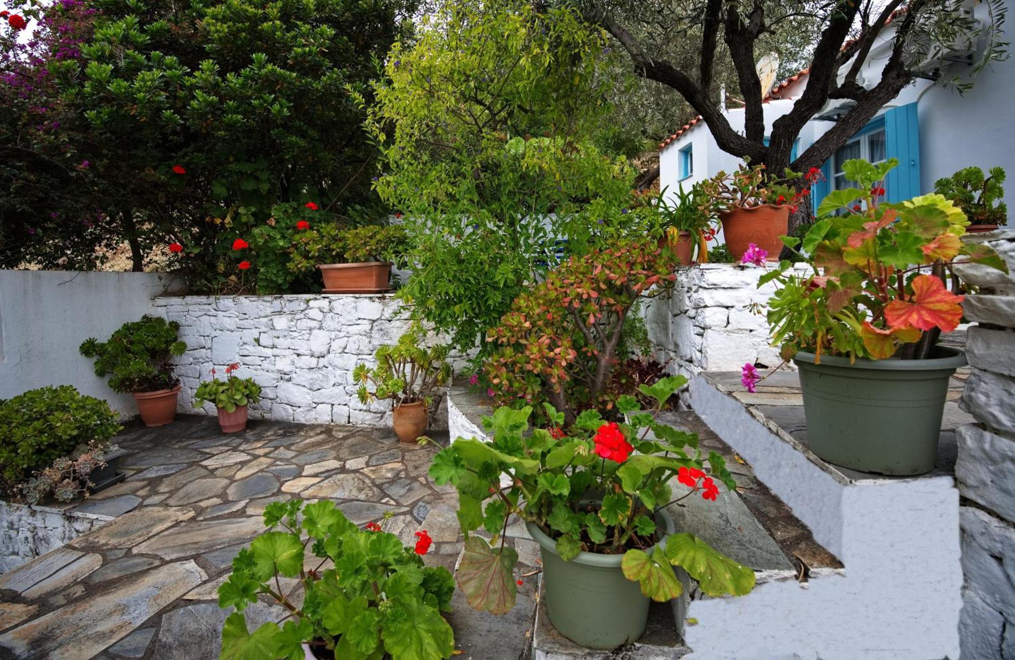 Limani Cottage Steni Vala Alonissos Esterno foto